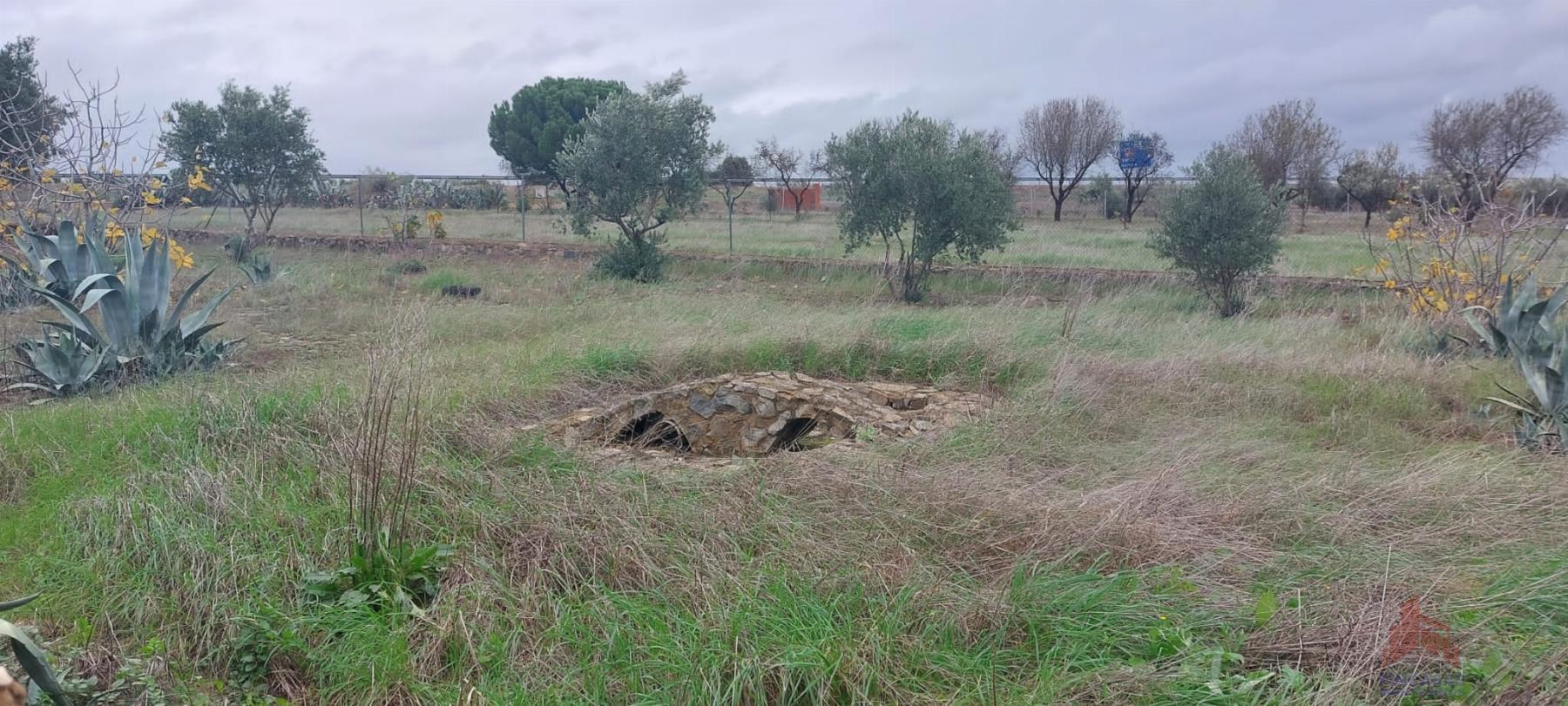 For sale of land in Mérida