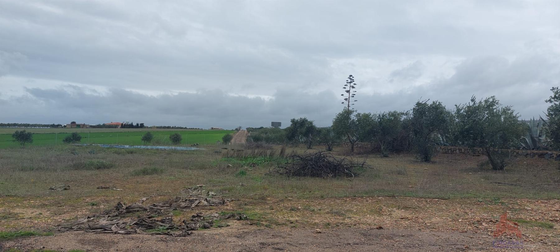 For sale of land in Mérida