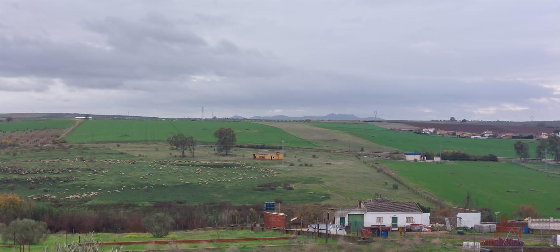 For sale of land in Mérida