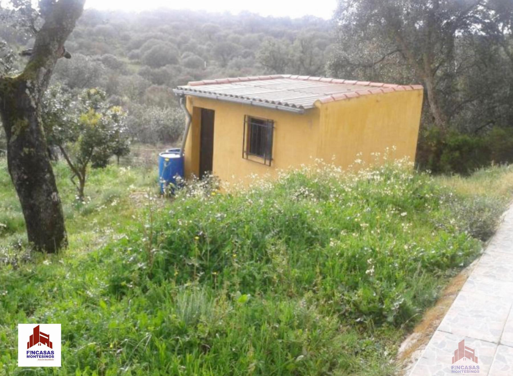 For sale of chalet in Santa Amalia