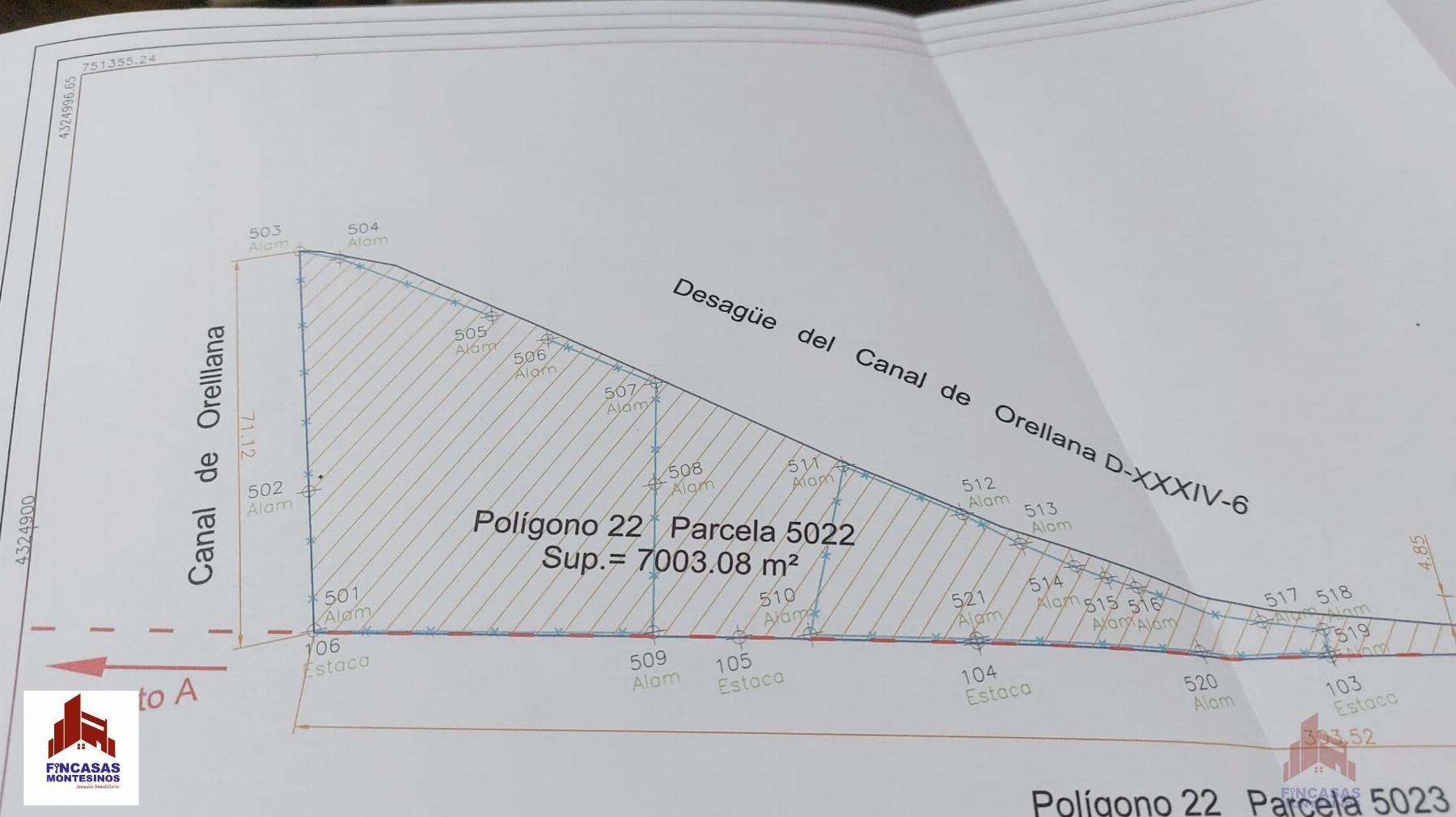 For sale of land in Santa Amalia