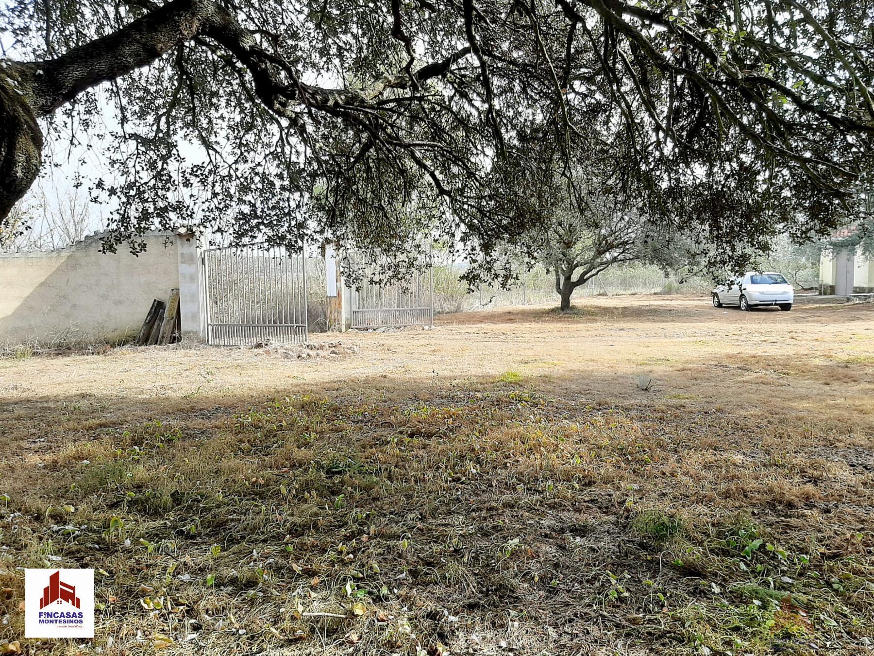 For sale of land in Santa Amalia