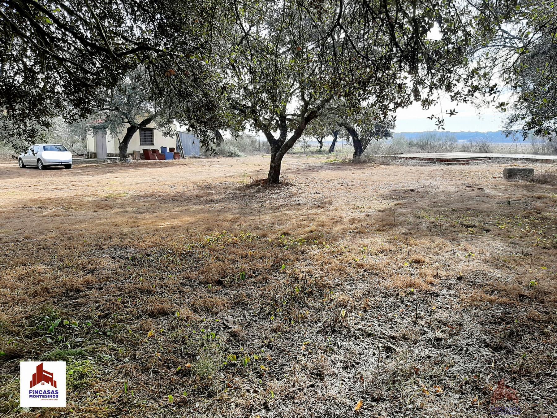 For sale of land in Santa Amalia