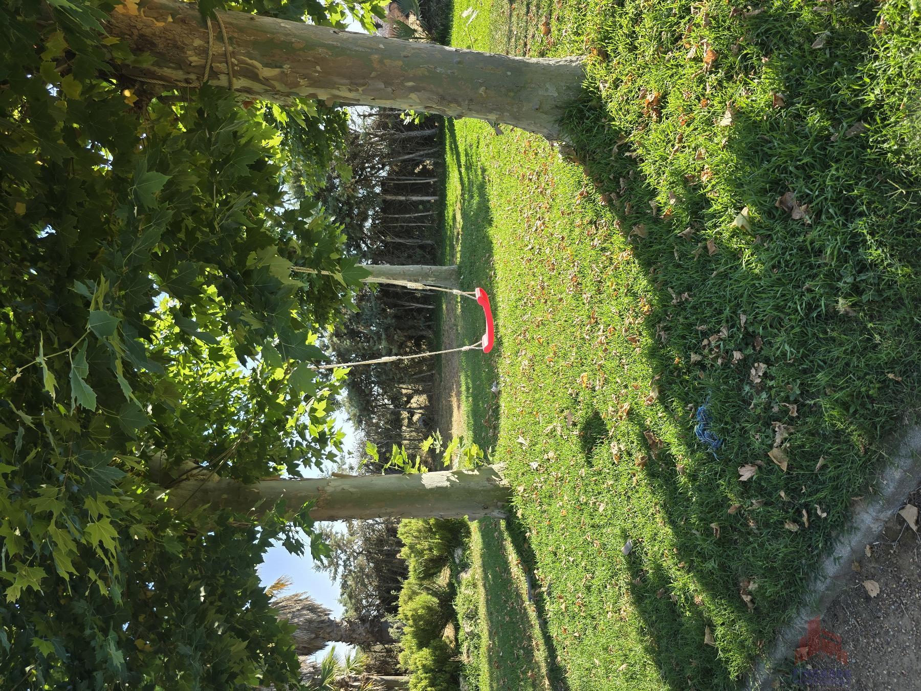 Jardín