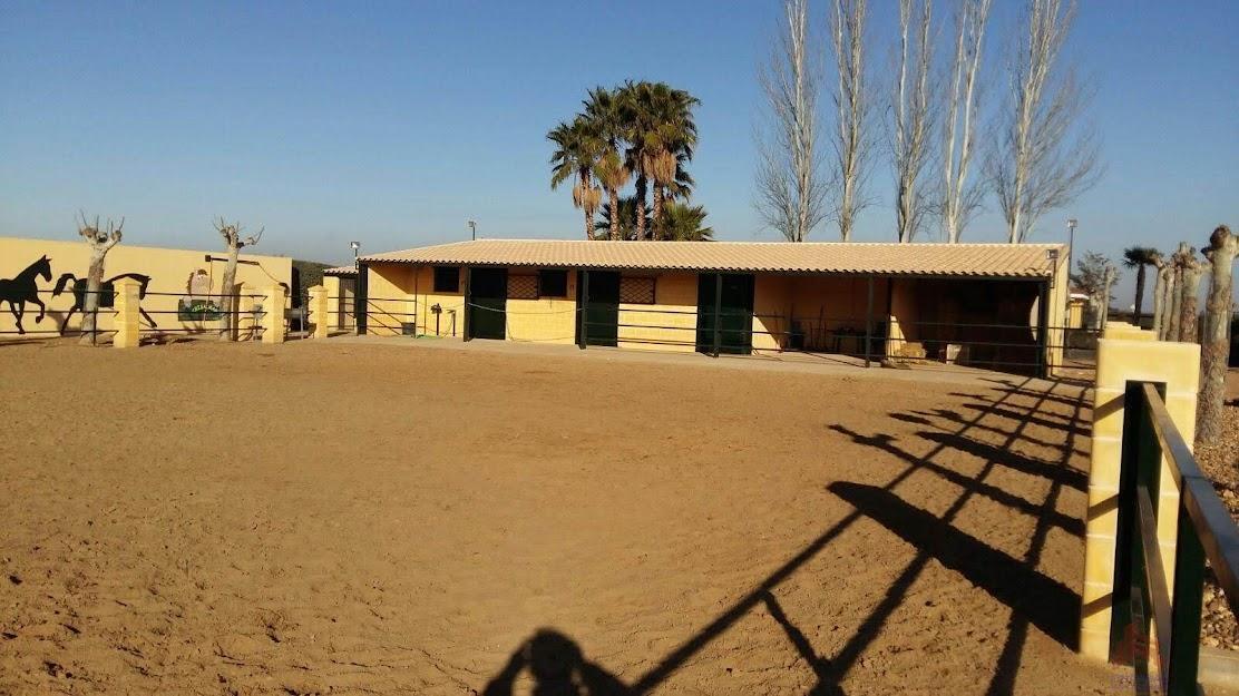 Terreno
