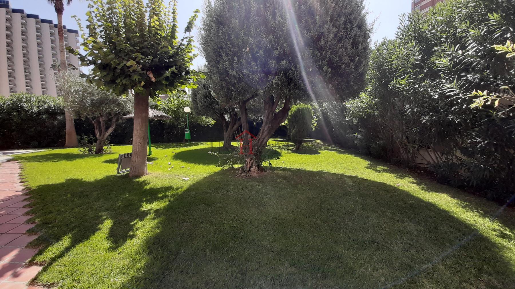 For sale of apartment in Benidorm
