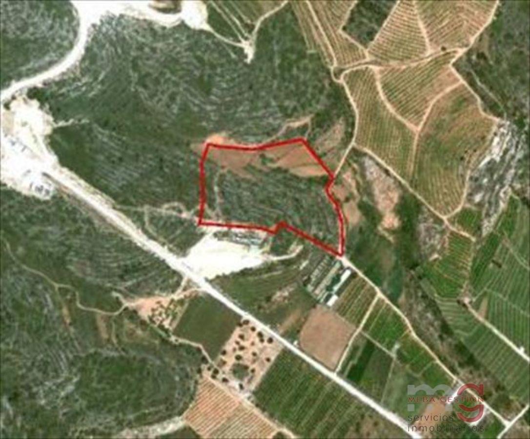 Vente de propriété rurale dans Torreblanca