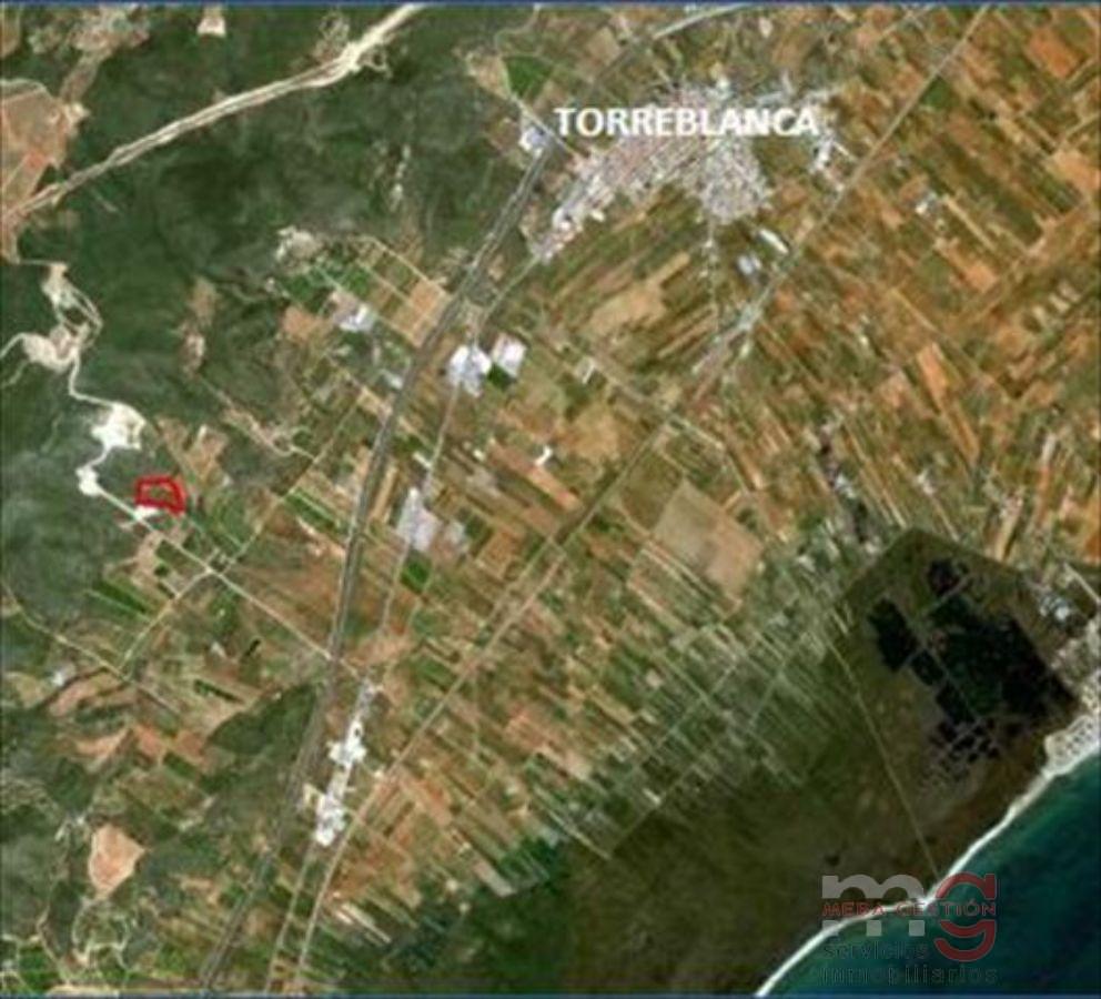 Vente de propriété rurale dans Torreblanca