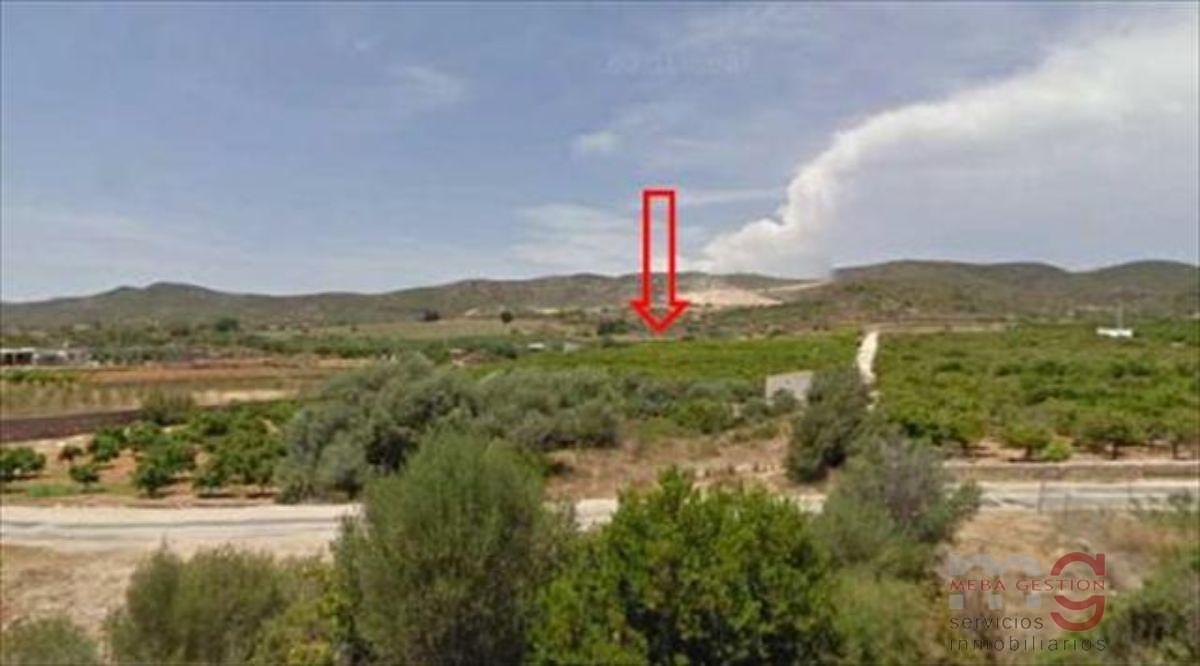 Vente de propriété rurale dans Torreblanca