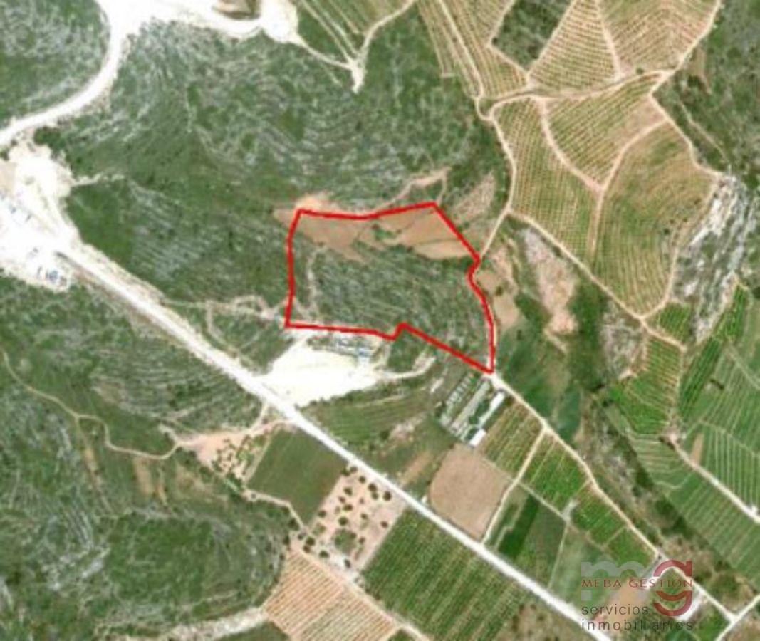 For sale of rural property in Torreblanca