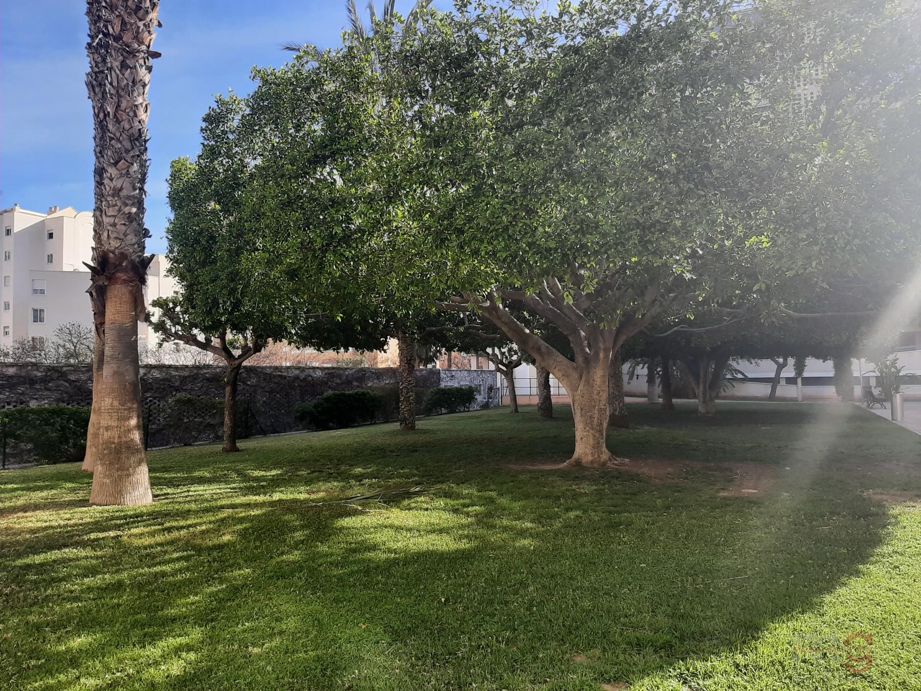 For sale of apartment in Alicante