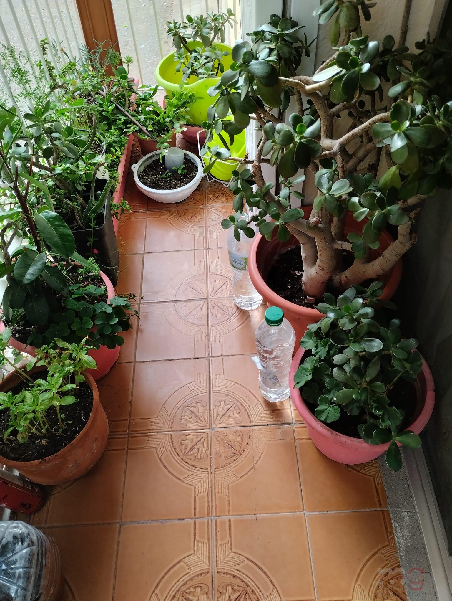 Venta de piso en Castellón