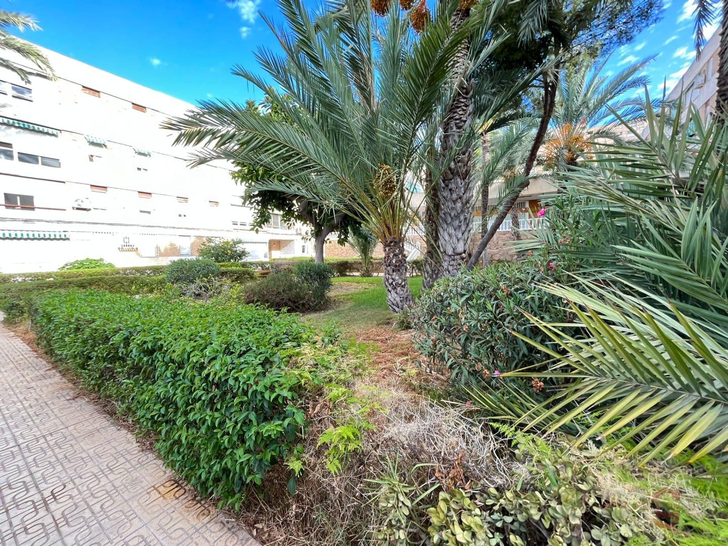 Vente de appartement dans Alicante