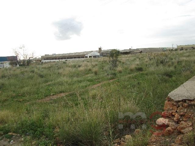 For sale of land in Castellón