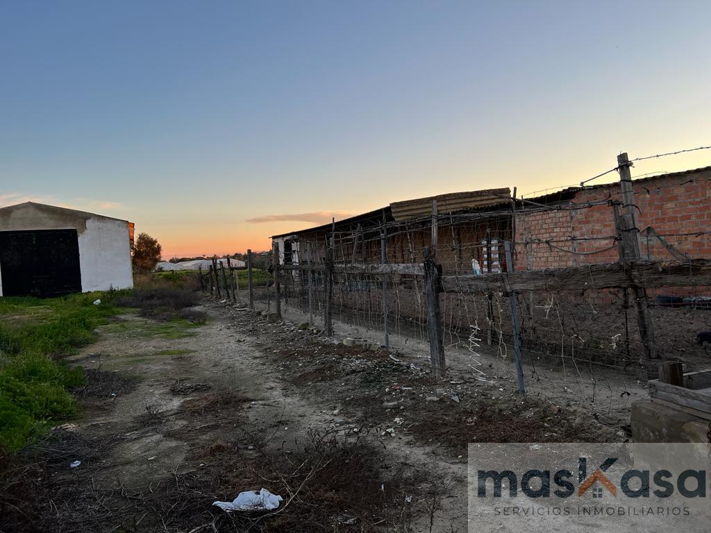 Venta de terreno en Los Palacios y Villafranca