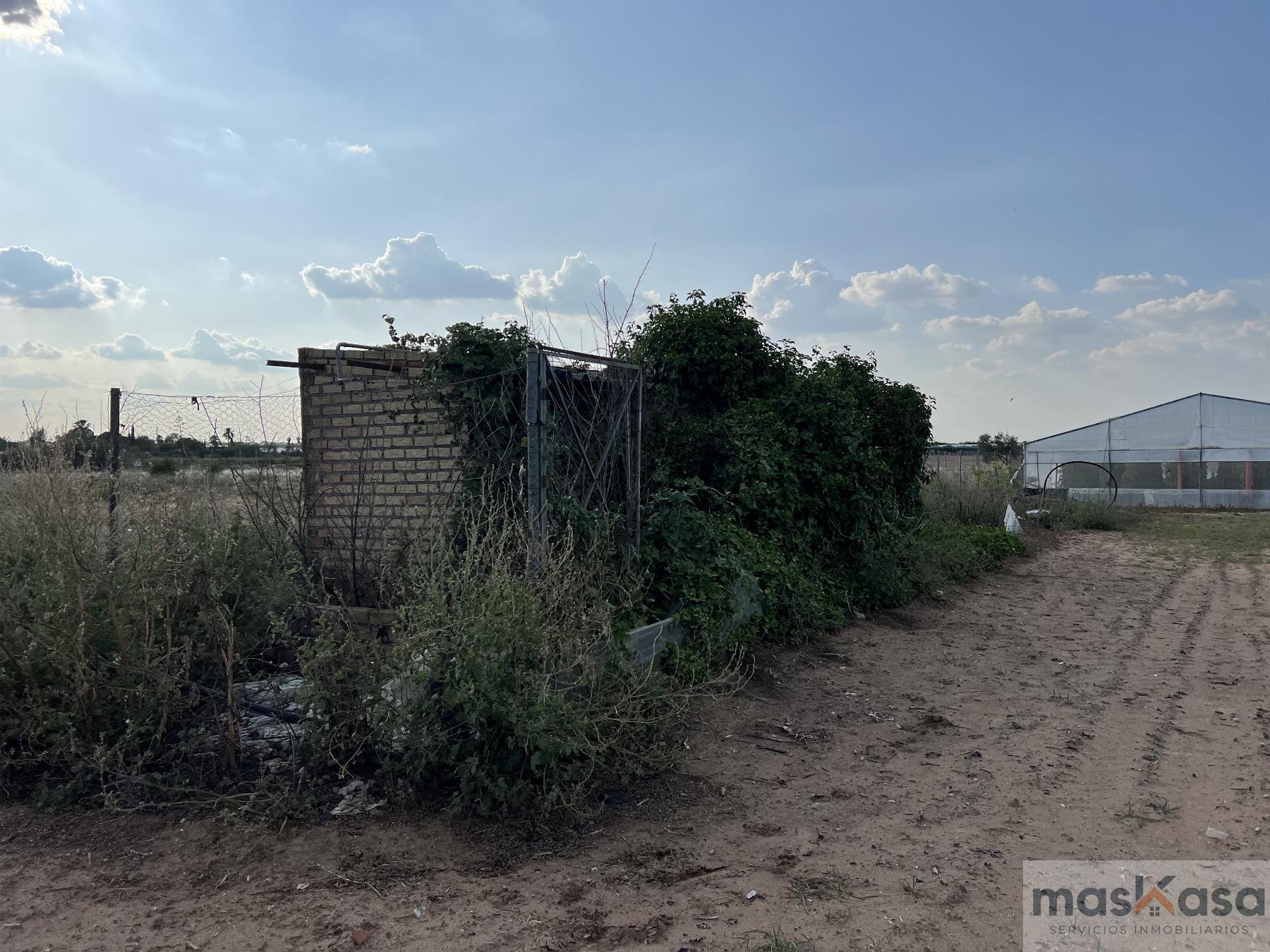 Venta de finca rústica en Los Palacios y Villafranca