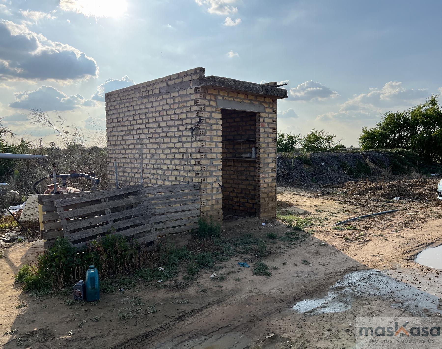 Venta de finca rústica en Los Palacios y Villafranca