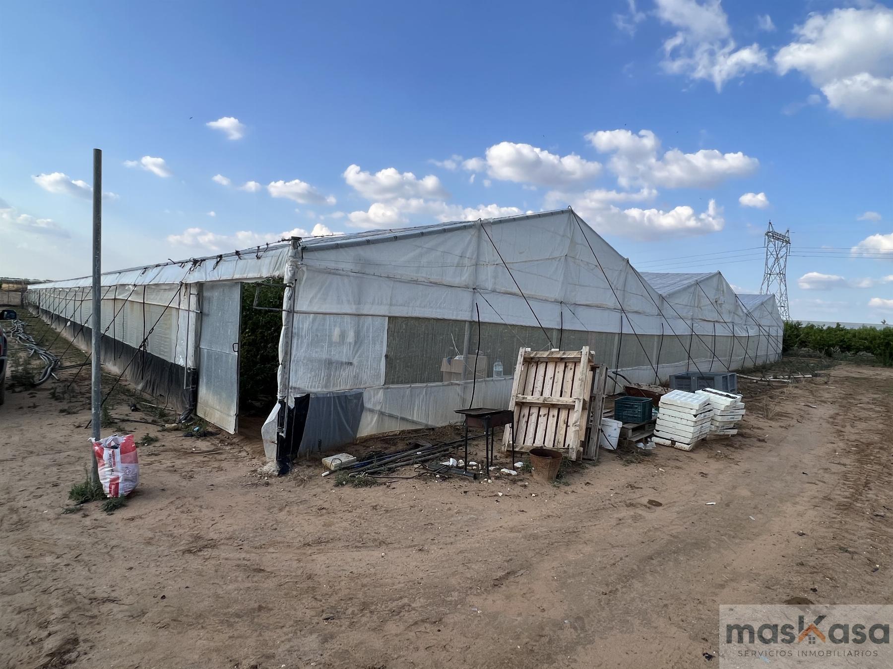 Venta de finca rústica en Los Palacios y Villafranca