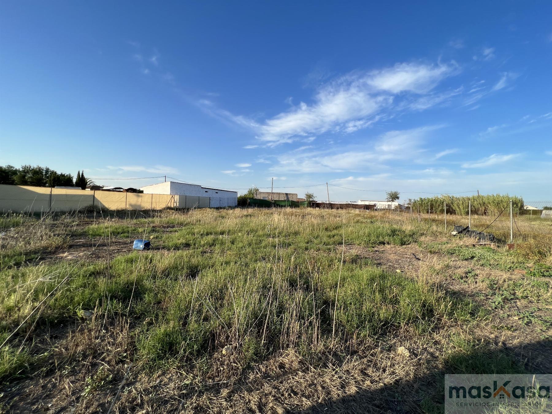 Venta de terreno en Los Palacios y Villafranca