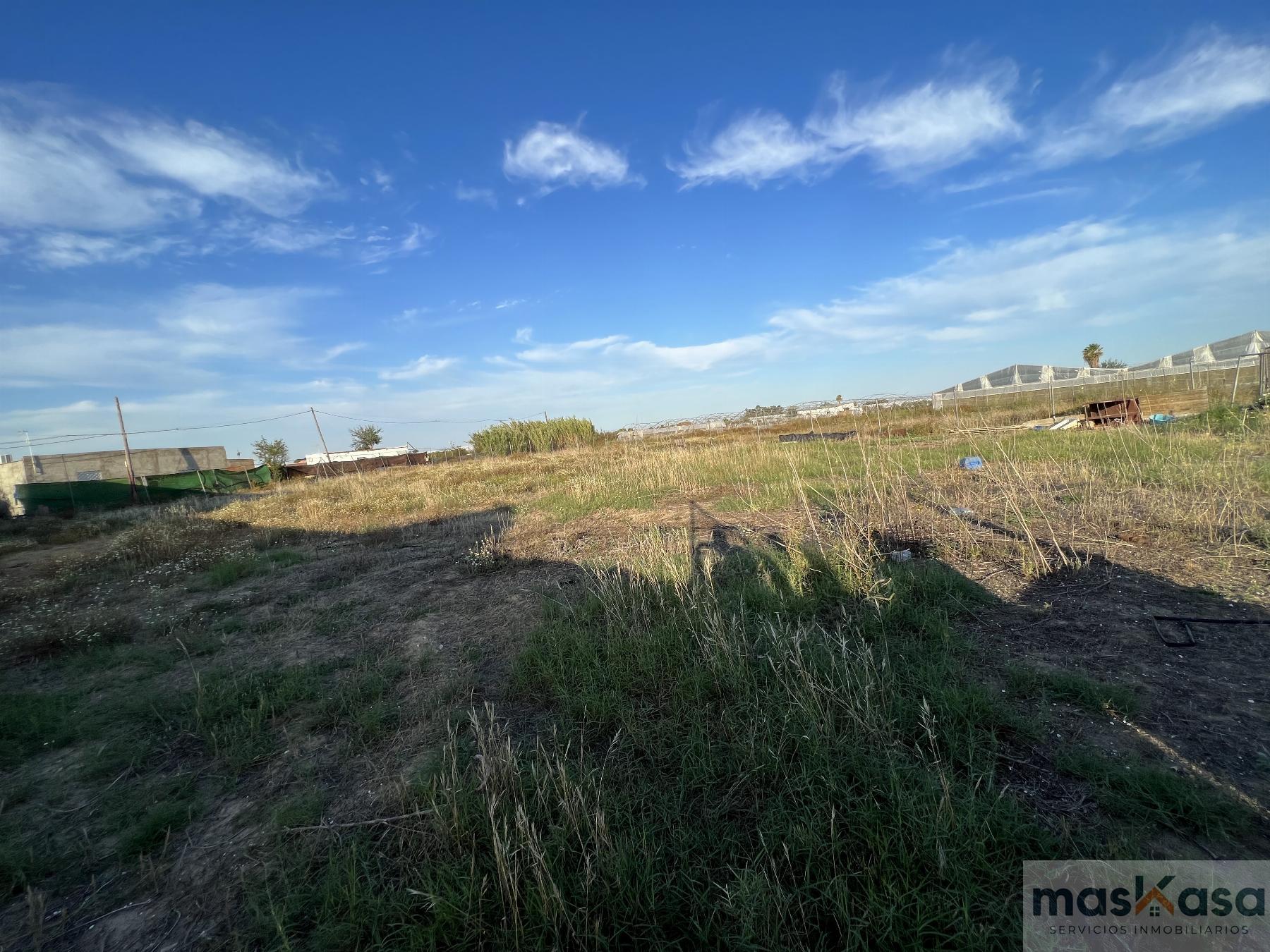 Venta de terreno en Los Palacios y Villafranca