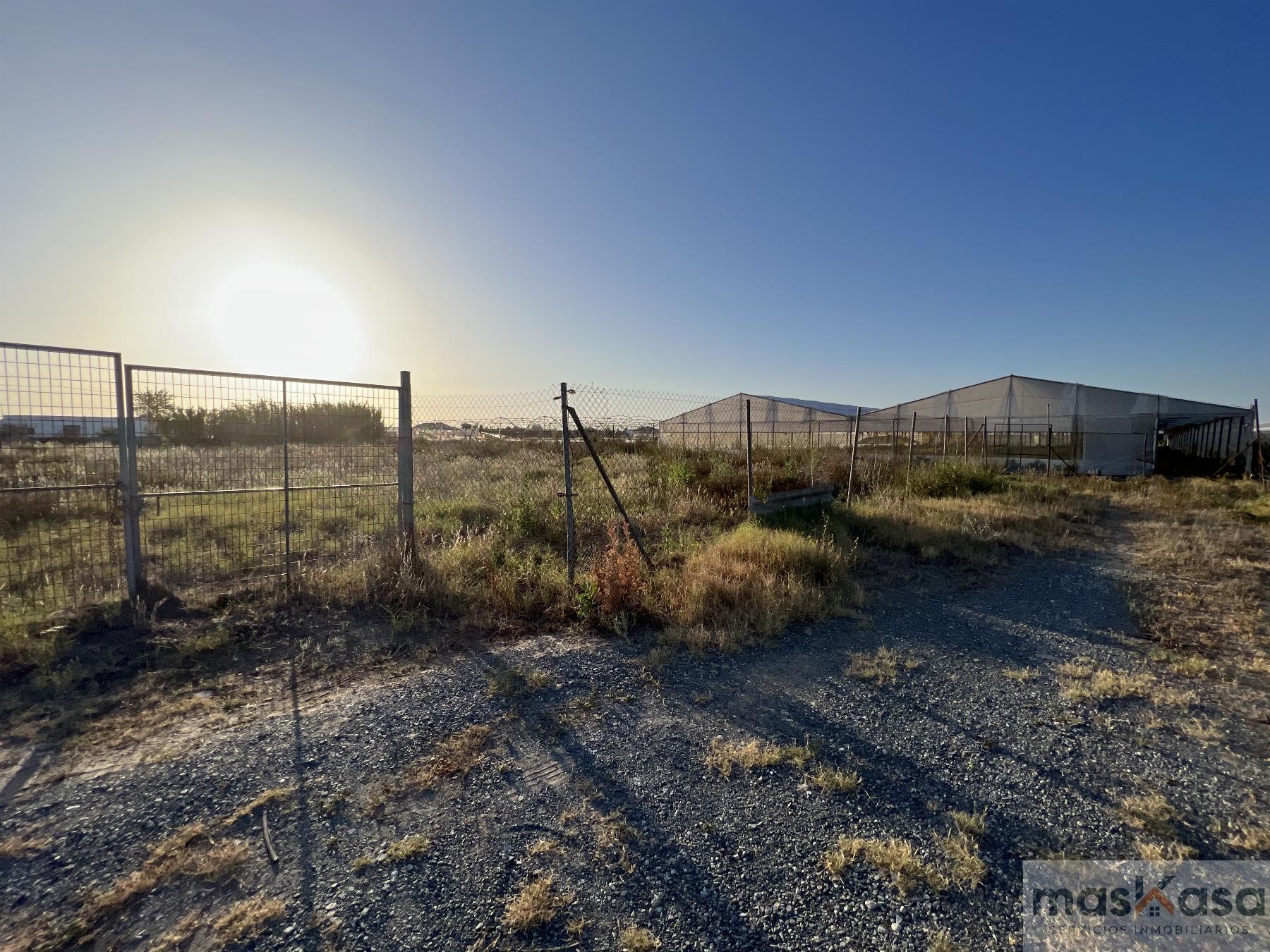 Venta de terreno en Los Palacios y Villafranca