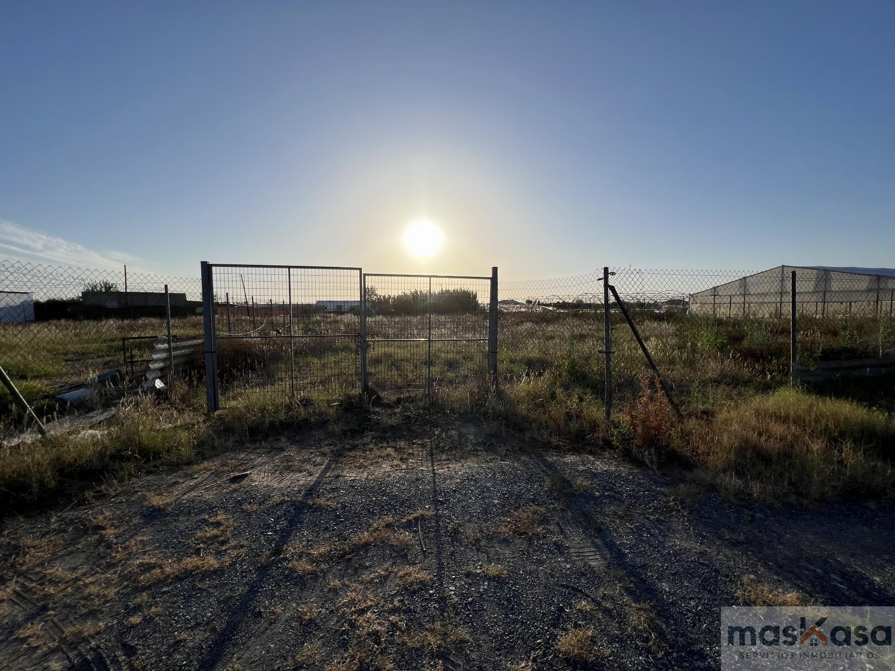 Venta de terreno en Los Palacios y Villafranca