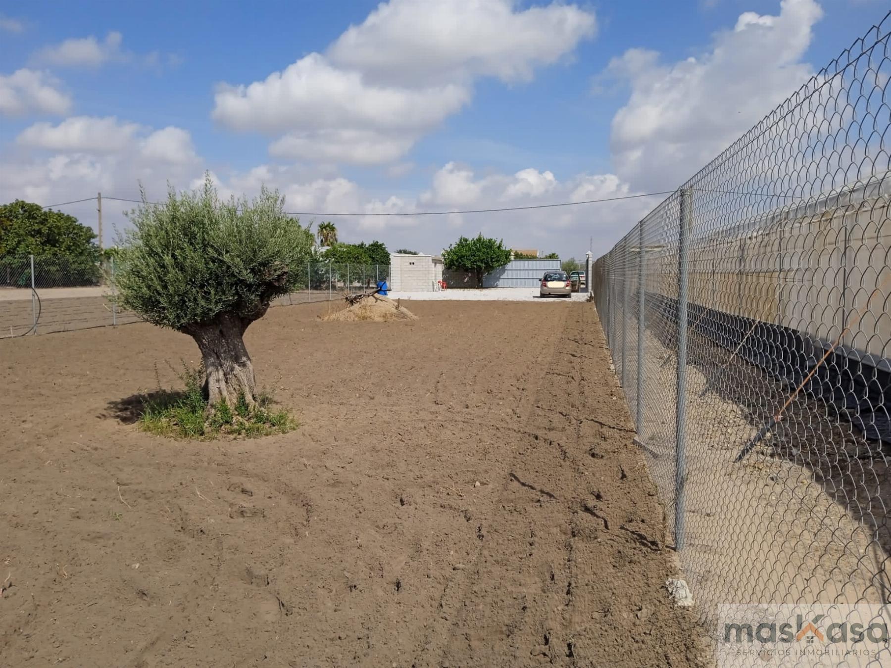 Venta de finca rústica en Los Palacios y Villafranca
