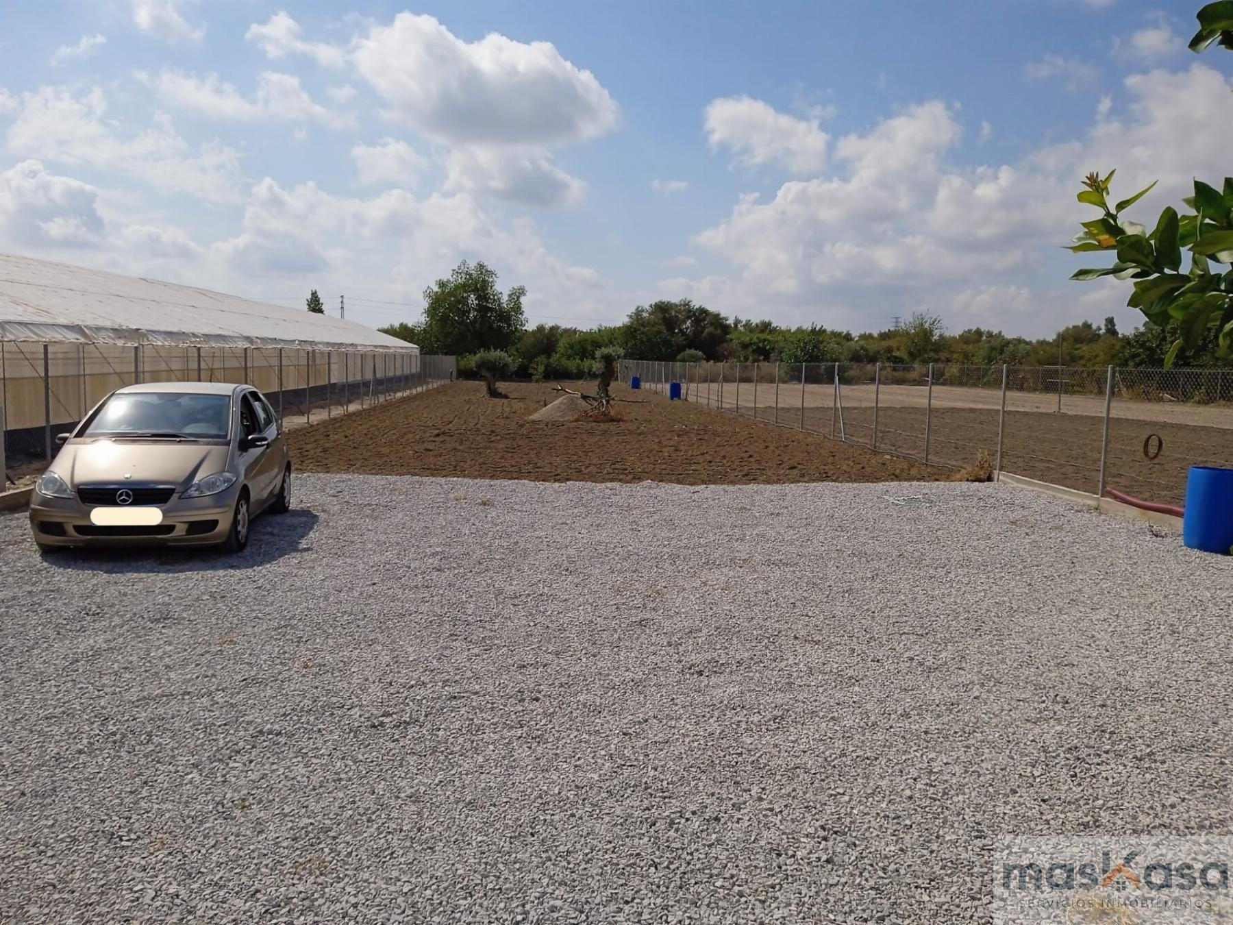 Venta de finca rústica en Los Palacios y Villafranca