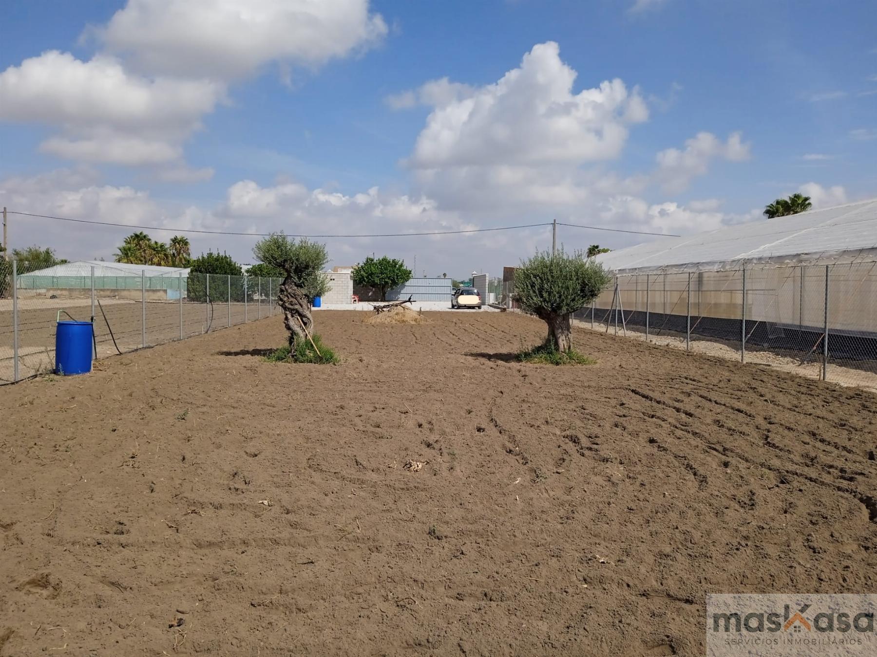 Venta de finca rústica en Los Palacios y Villafranca