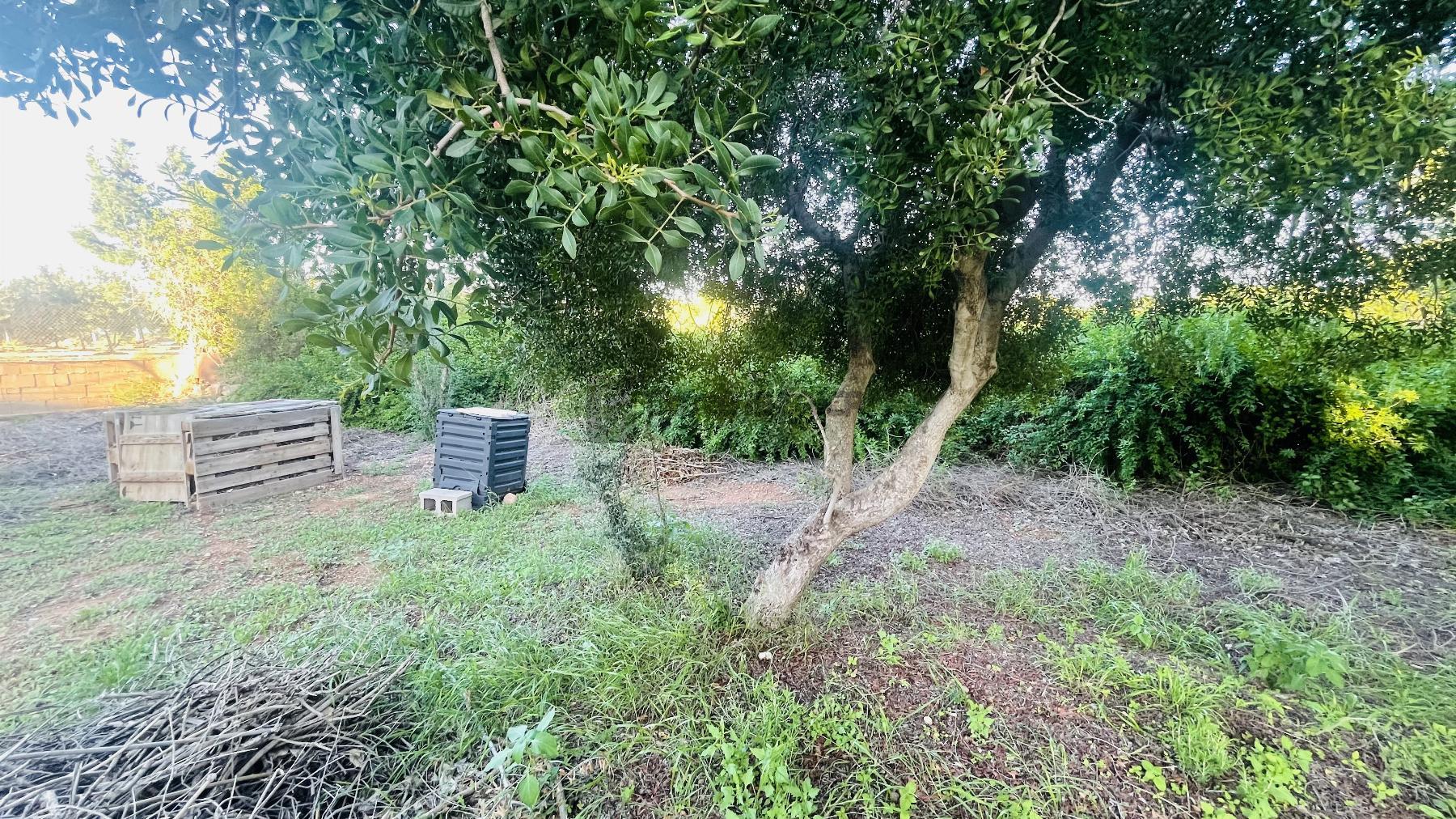 Terreno
