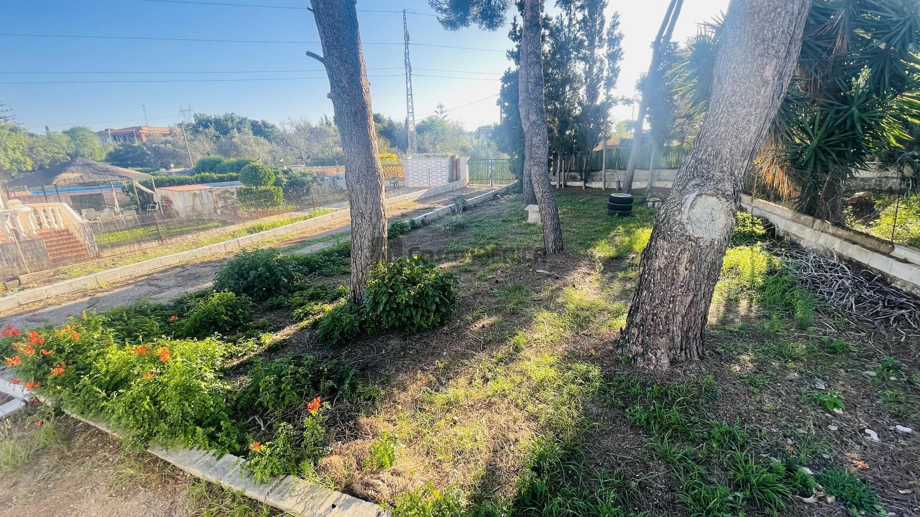 Terreno