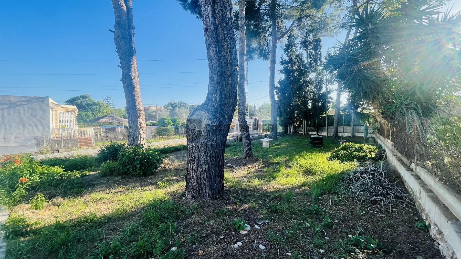 Terreno