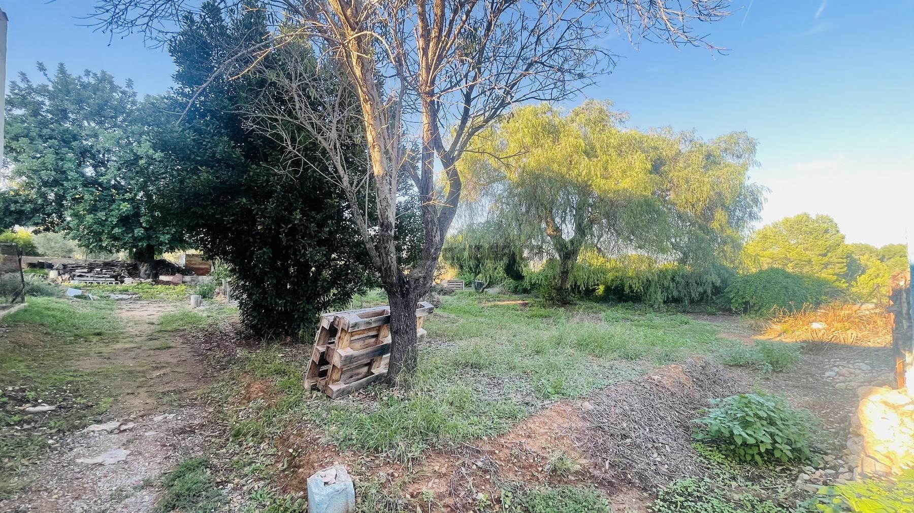 Terreno