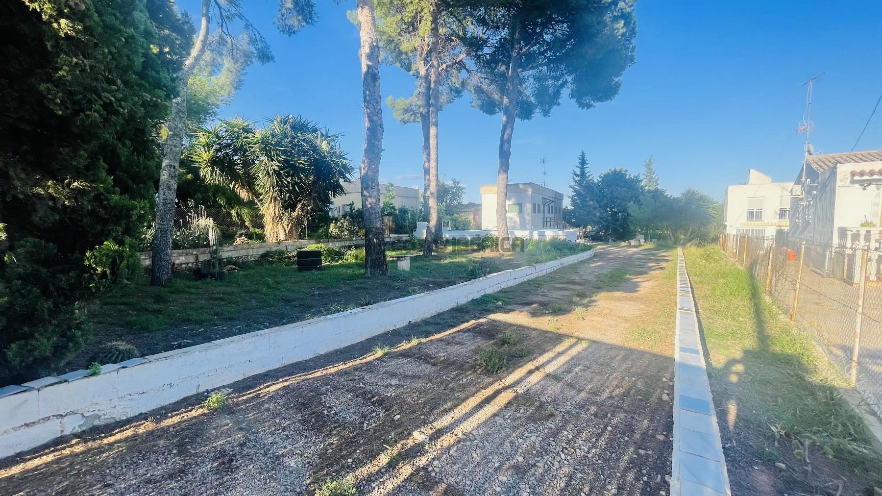 Terreno