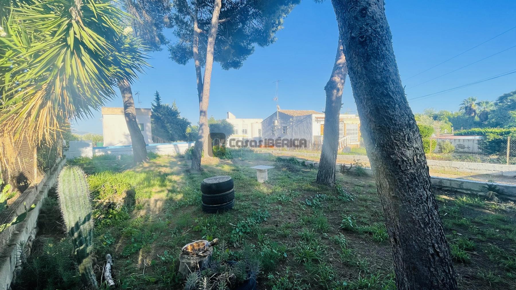 Terreno