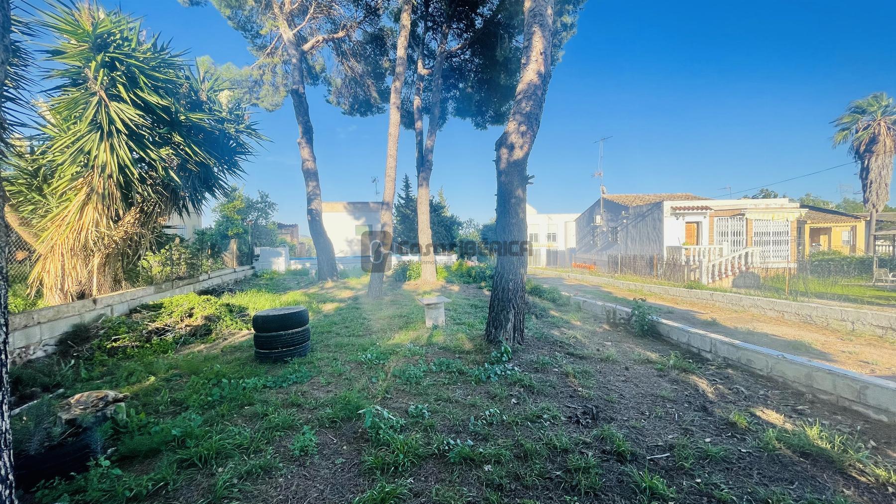 Terreno