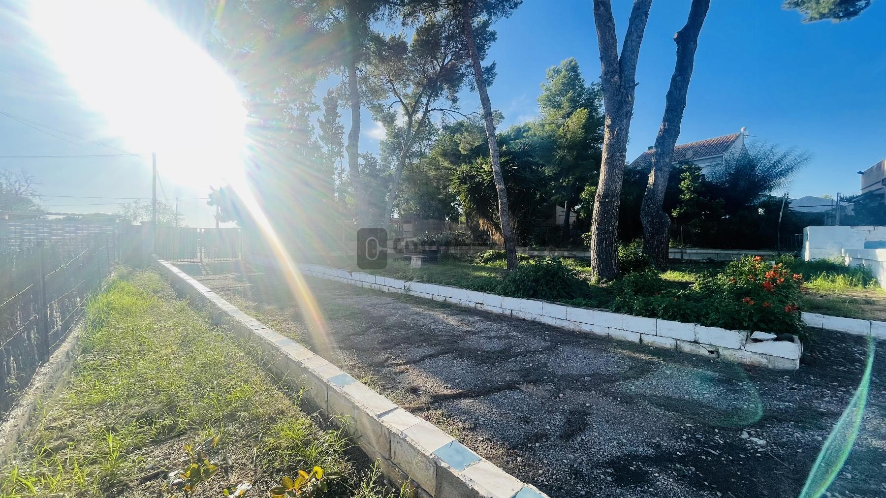 Terreno