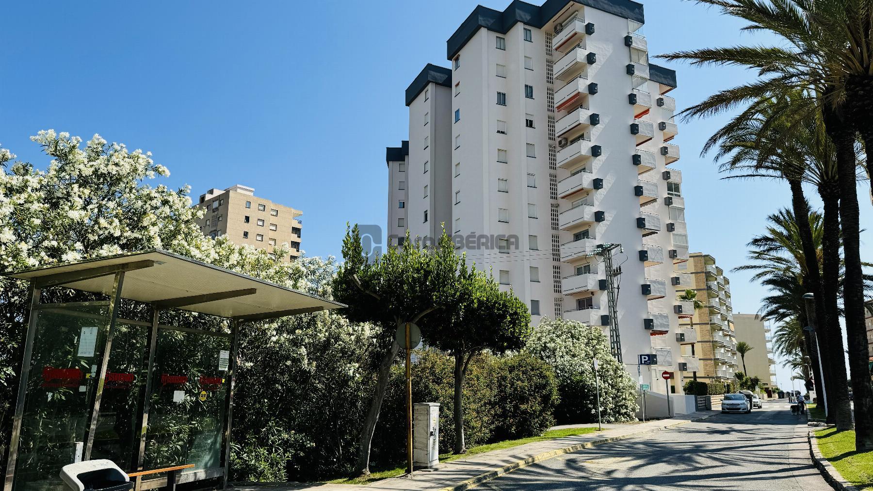 Surroundings
