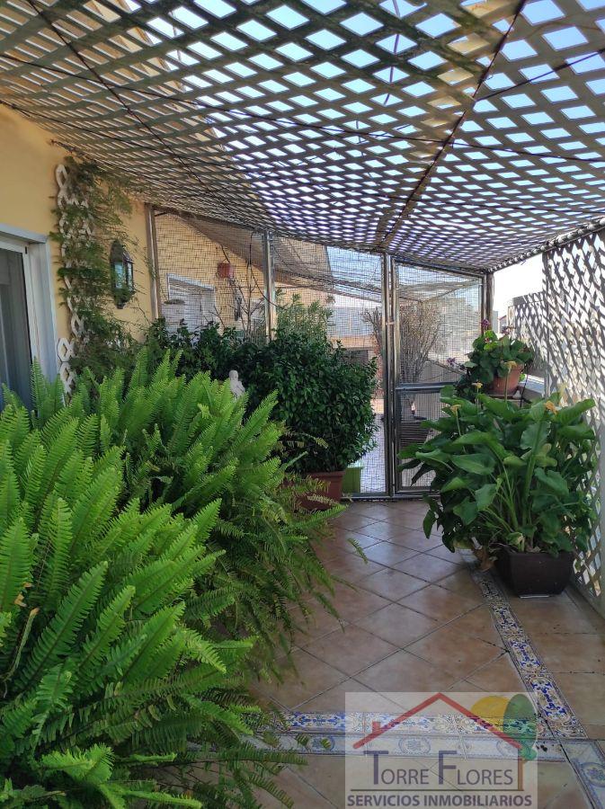 For sale of penthouse in Cádiz