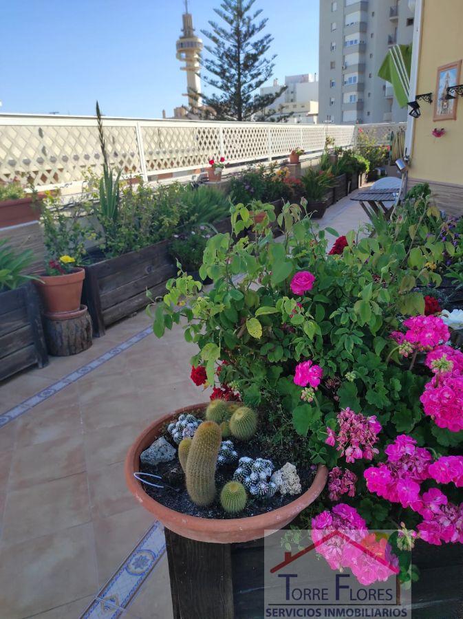For sale of penthouse in Cádiz