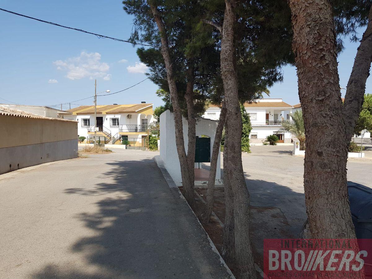 Venta de finca rústica en Cuevas del Almanzora