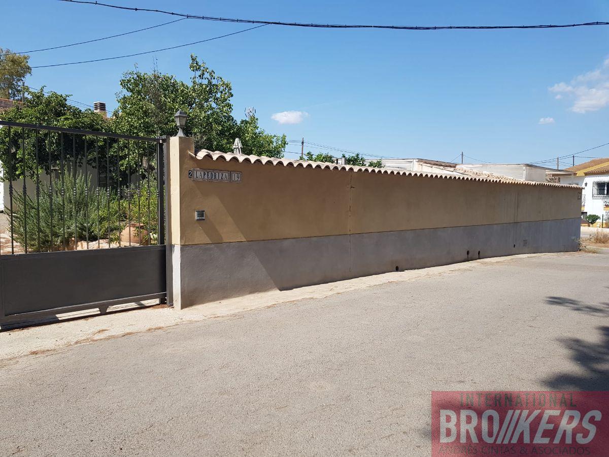 Venta de finca rústica en Cuevas del Almanzora