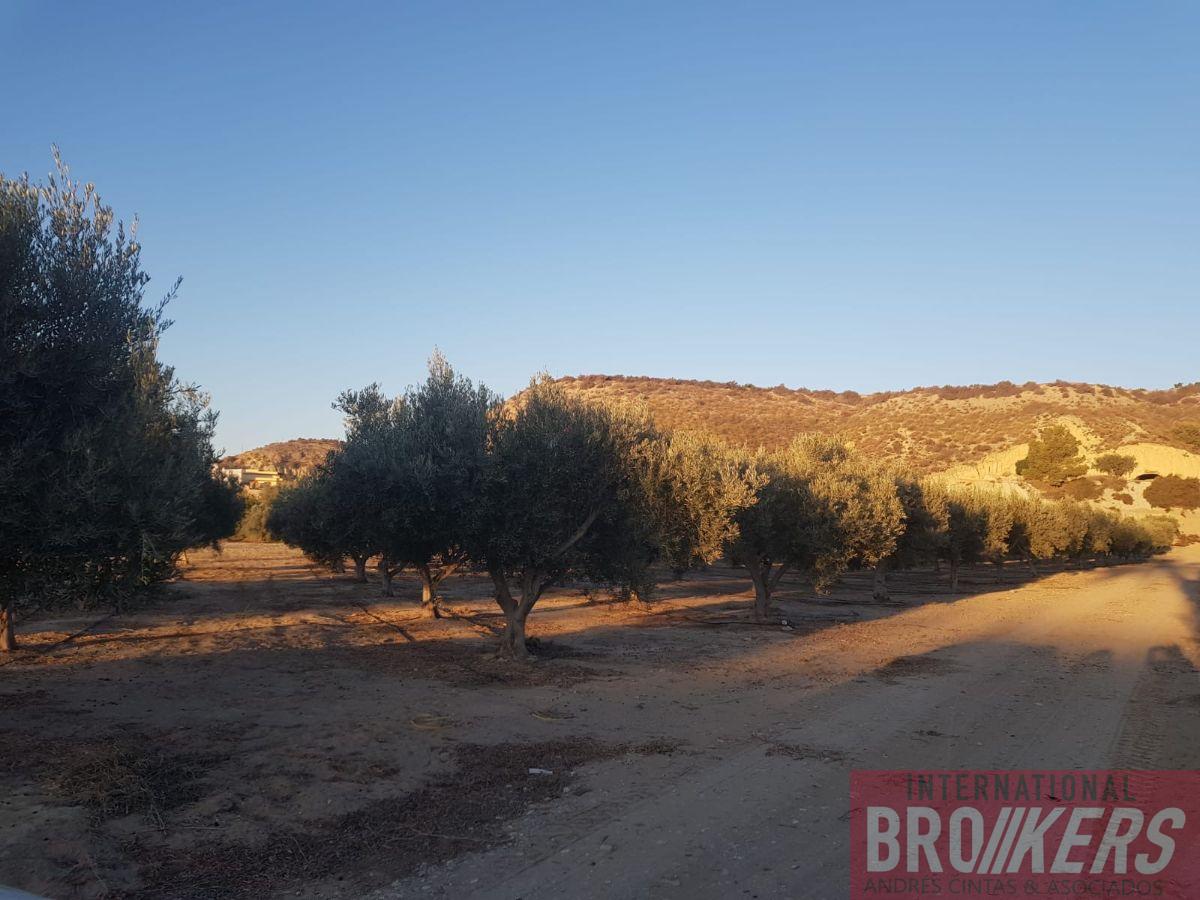 For sale of land in Cuevas del Almanzora