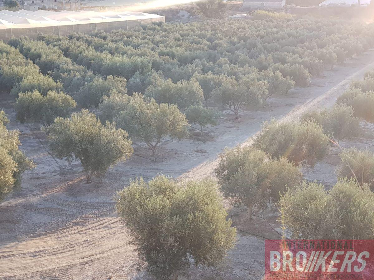 Venta de terreno en Cuevas del Almanzora