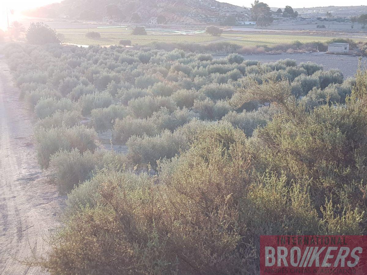 Vente de terrain dans Cuevas del Almanzora