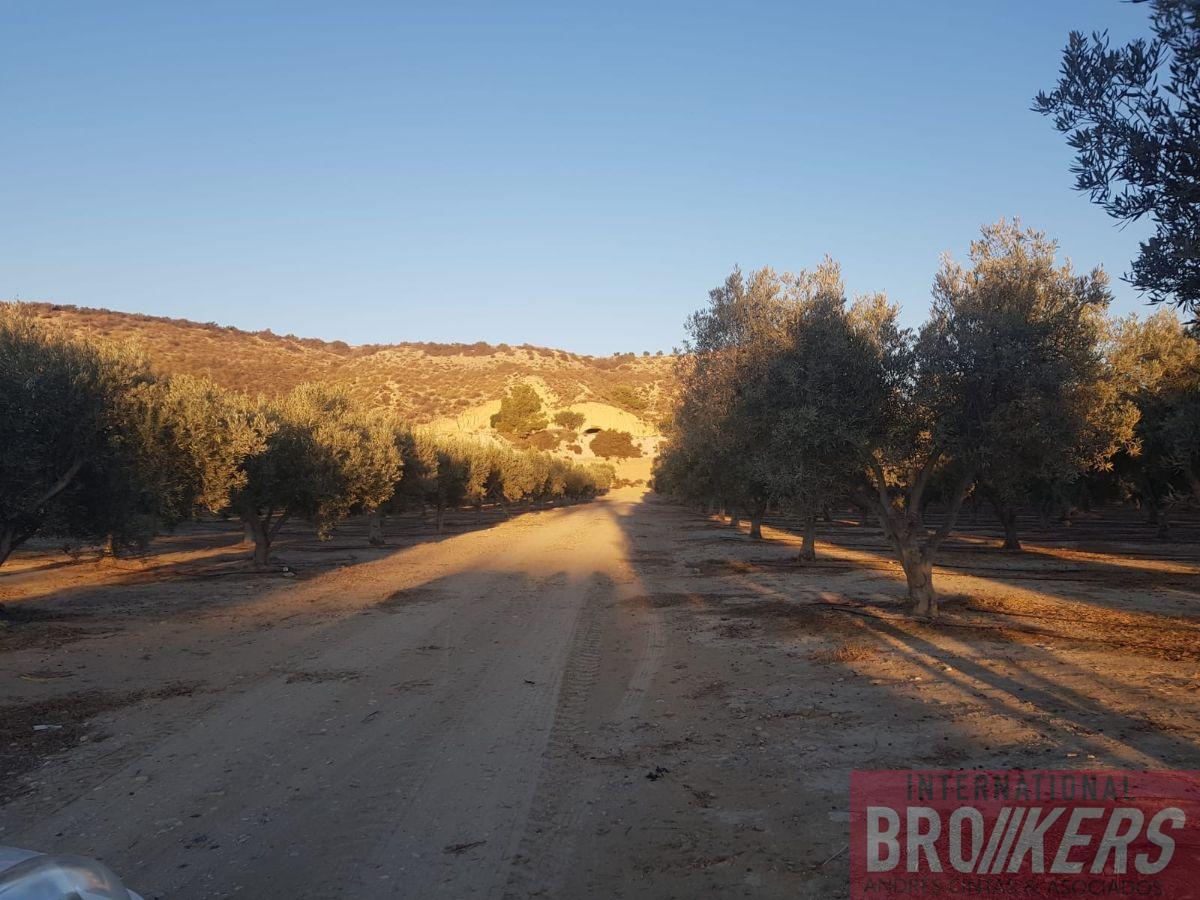 Vente de terrain dans Cuevas del Almanzora