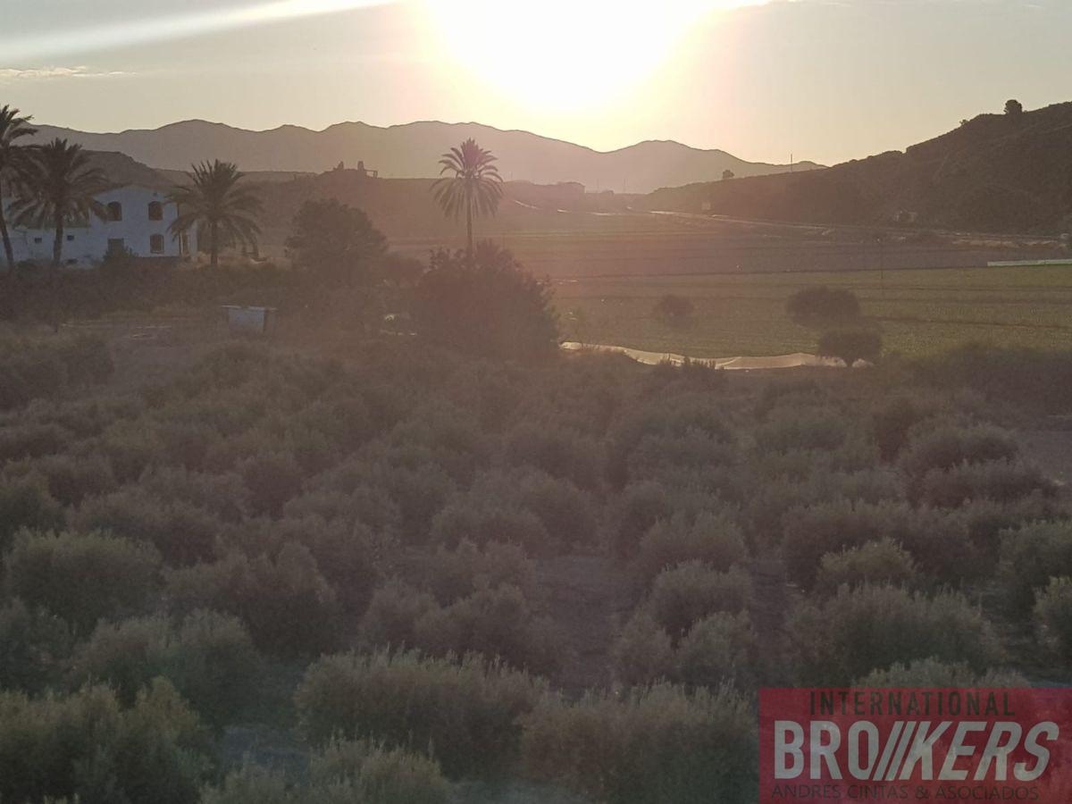 Venta de terreno en Cuevas del Almanzora