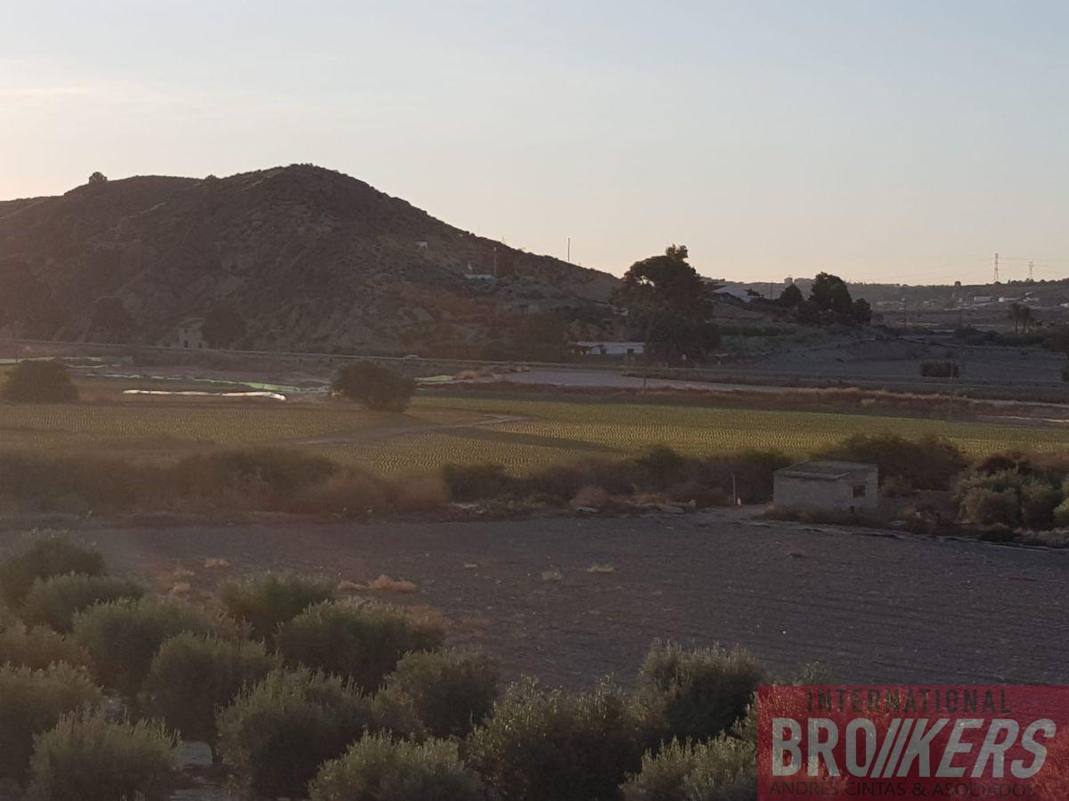 Vente de terrain dans Cuevas del Almanzora