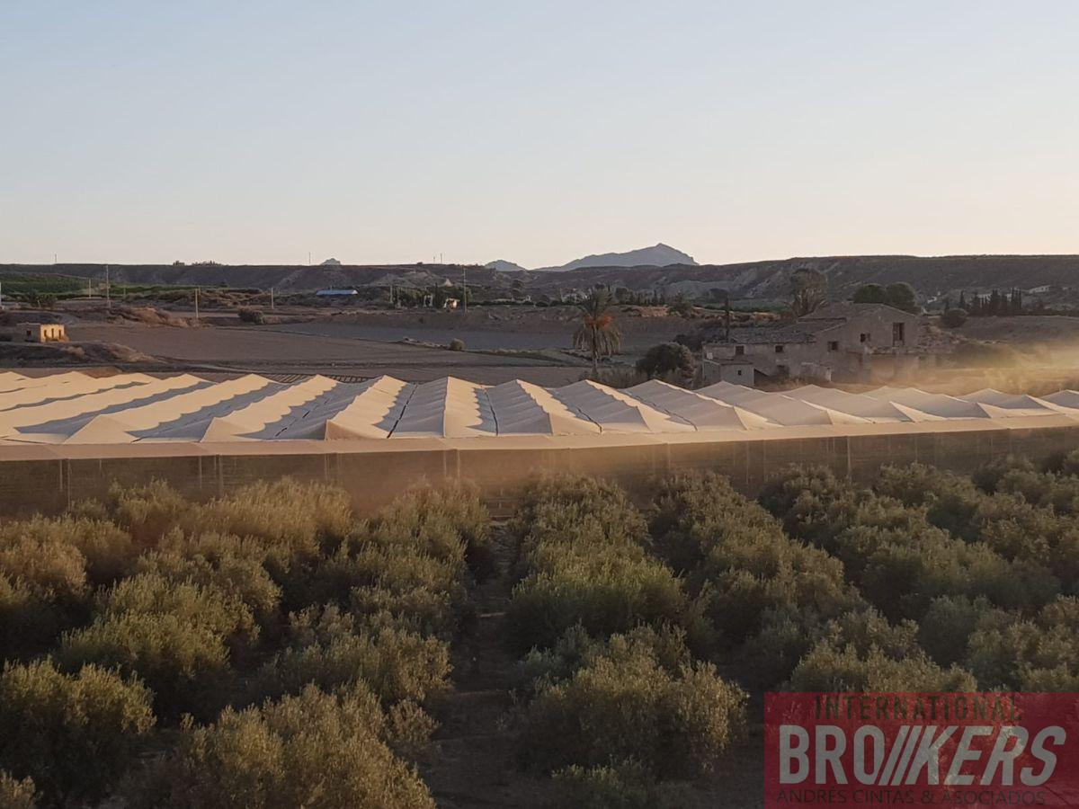 Vente de terrain dans Cuevas del Almanzora