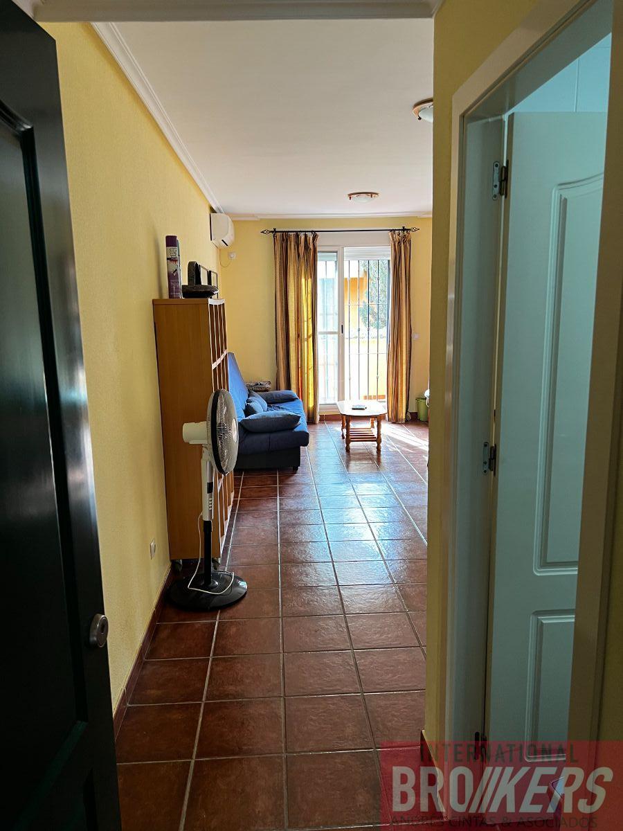 For rent of apartment in Vera